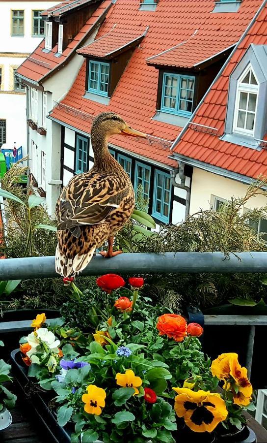 Altstadtapartment An Der Kraemerbruecke Nr.2 Erfurt Bagian luar foto
